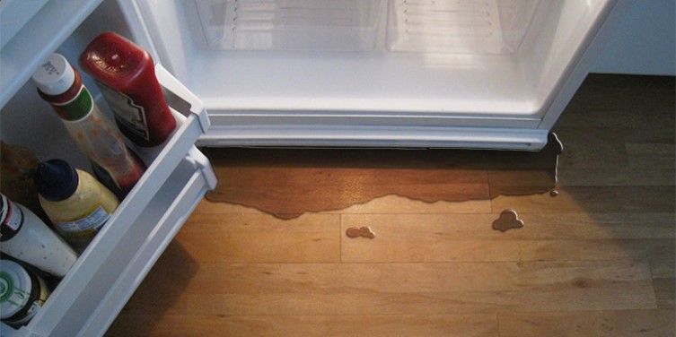 Fridge Leaking