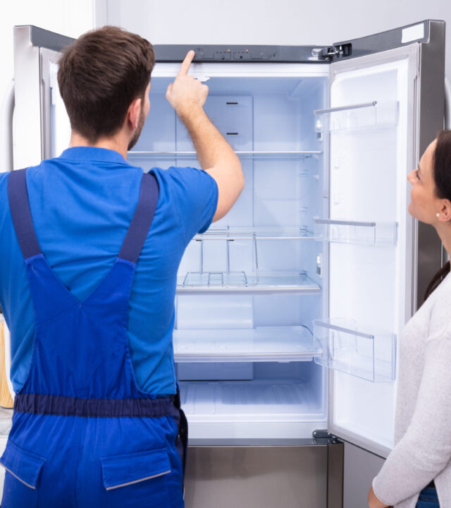 Serviceman Checking Temperature Of Refrigerator LG Freezer Models We Handle