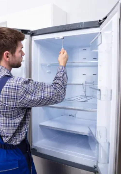 long-term-freezer-performance-maintenance LG Fridge Care Tips Between Services