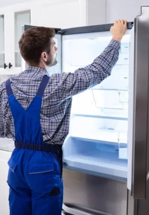 smart-tips-to-keep-your-lg-freezer-safe Smart Tips to Keep Your LG Freezer Safe