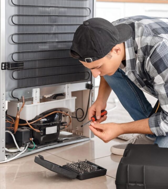 symptoms-that-show-your-lg-fridge-needs-professional-repair Why Your LG Fridge Requires Regular Service?
