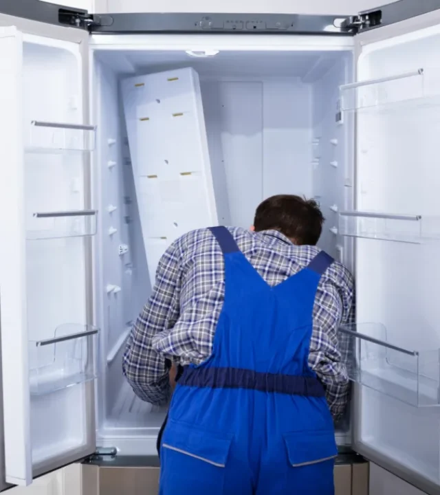 typical-lg-freezer-problems-we-repair Service for Homes, Offices & More