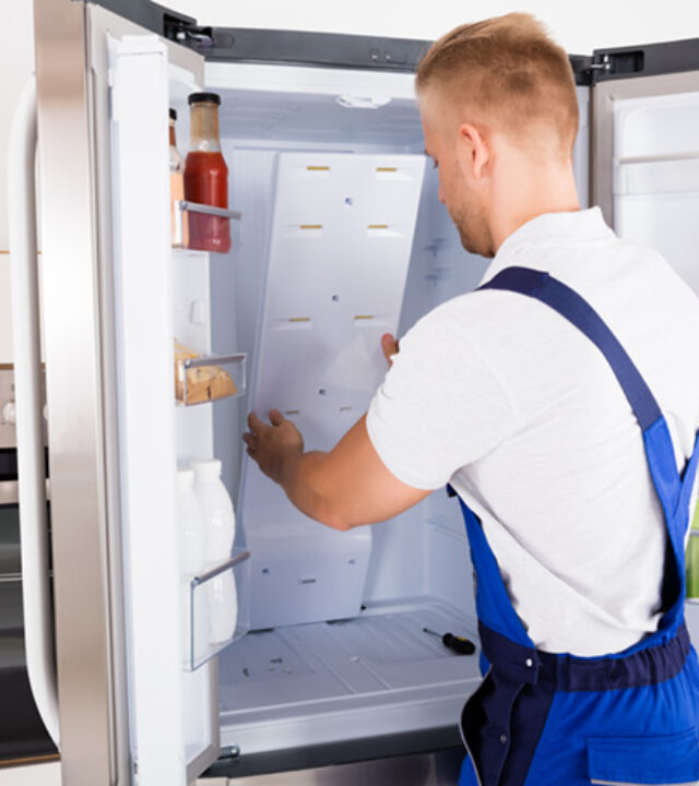 why-uae-lg-repair-for-freezer-service Why UAE LG Repair for Freezer Service?